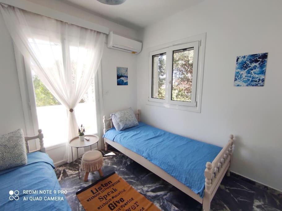 White Villa In Olive Trees And Seaview To Panagia Almiropótamos エクステリア 写真
