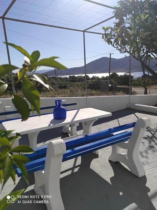 White Villa In Olive Trees And Seaview To Panagia Almiropótamos エクステリア 写真