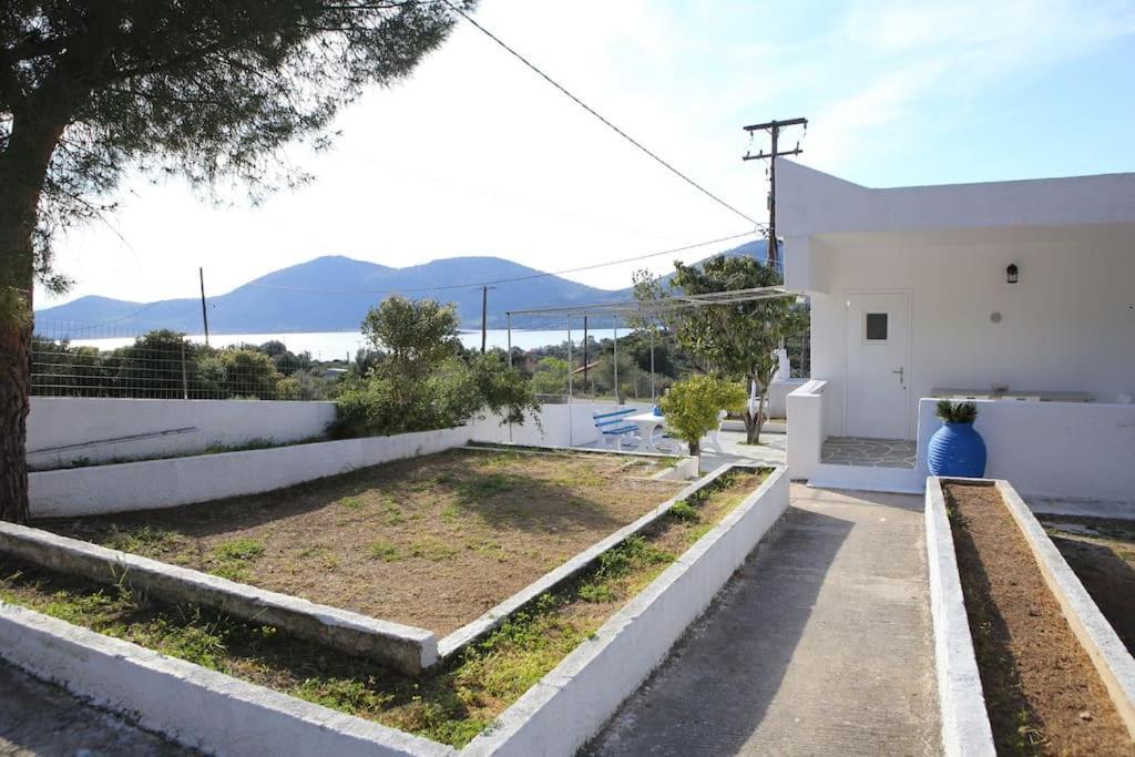 White Villa In Olive Trees And Seaview To Panagia Almiropótamos エクステリア 写真