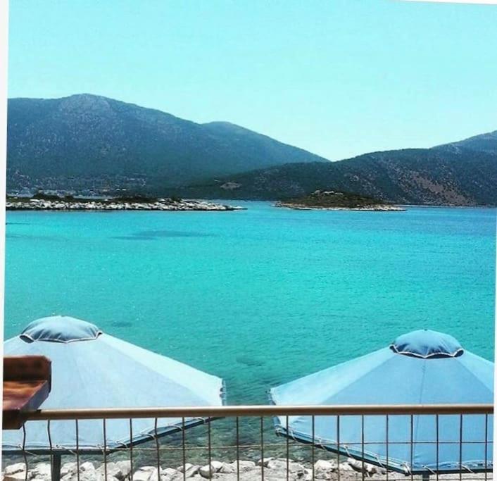 White Villa In Olive Trees And Seaview To Panagia Almiropótamos エクステリア 写真