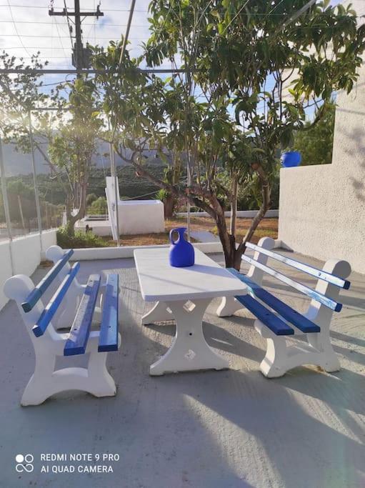 White Villa In Olive Trees And Seaview To Panagia Almiropótamos エクステリア 写真