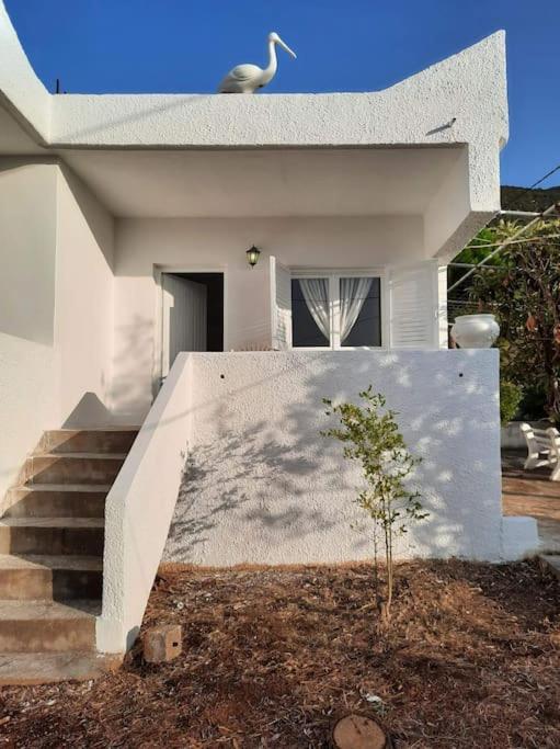 White Villa In Olive Trees And Seaview To Panagia Almiropótamos エクステリア 写真