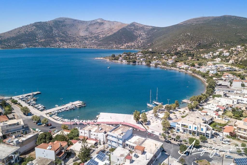 White Villa In Olive Trees And Seaview To Panagia Almiropótamos エクステリア 写真