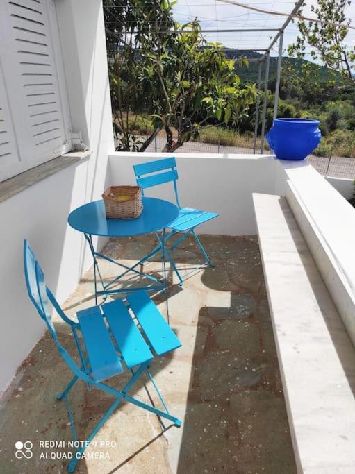 White Villa In Olive Trees And Seaview To Panagia Almiropótamos エクステリア 写真